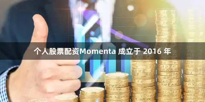 个人股票配资Momenta 成立于 2016 年